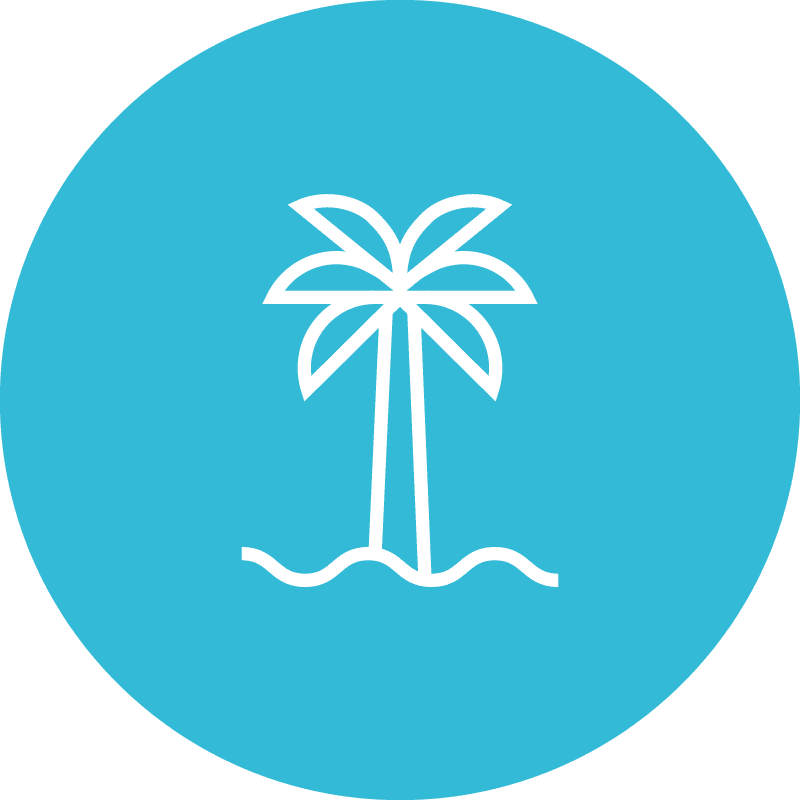 Riso- Internet Benefit